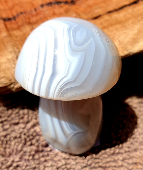 #6 Agate Mushroom Chunky 5cm