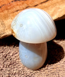 #6 Agate Mushroom Chunky 5cm